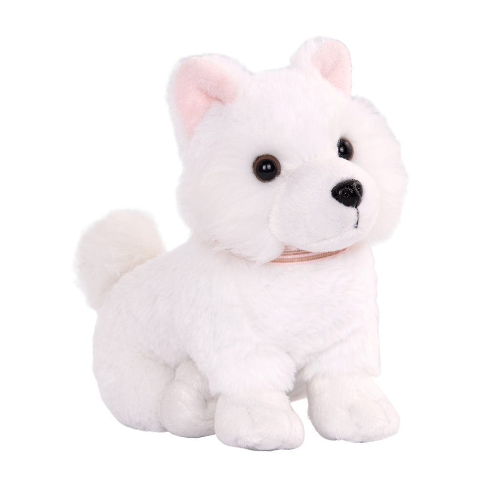 OG - American Eskimo Welpe 15 cm